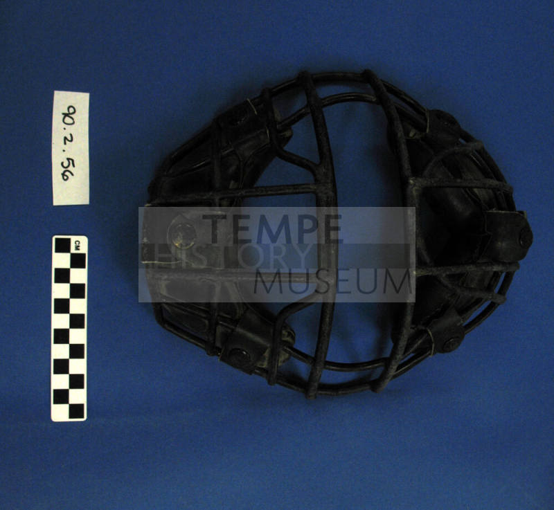 Catcher's Mask