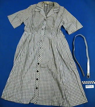 Women's Plaid Dress