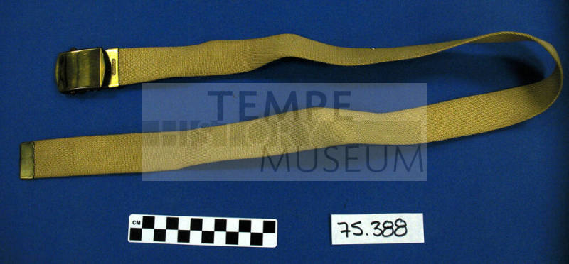 Belt