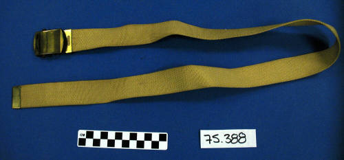 Belt