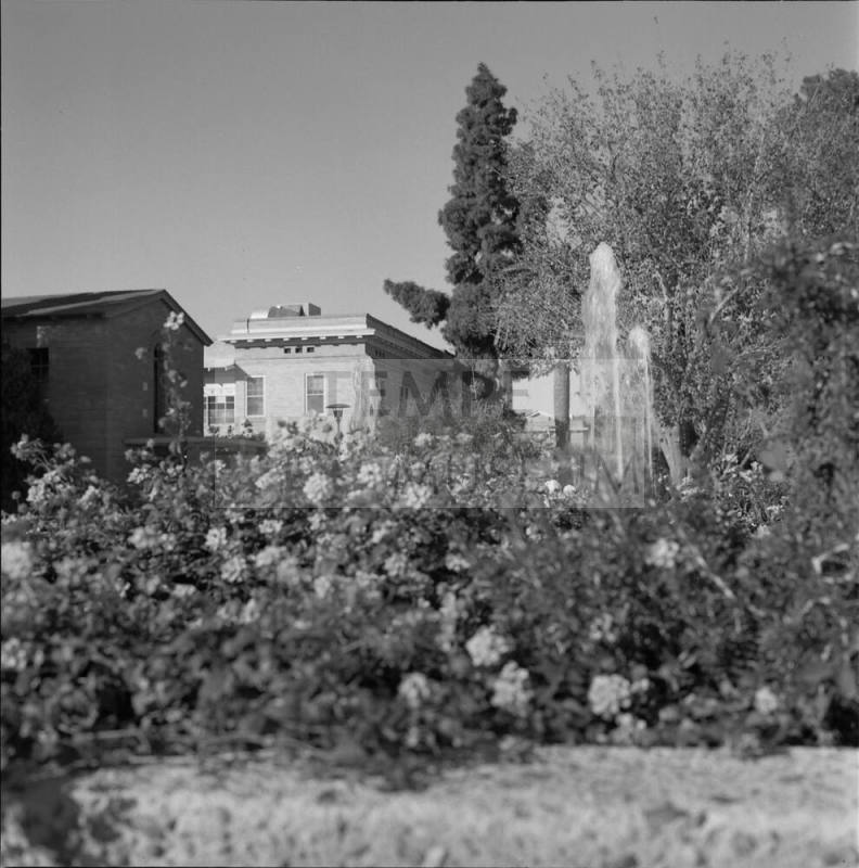 MU Fountain