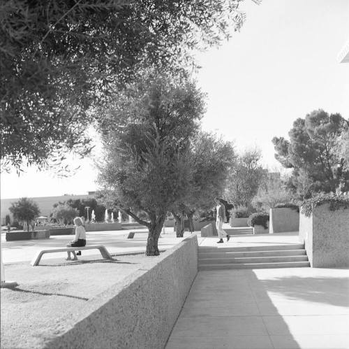 ASU