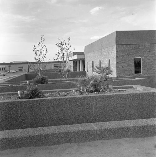 Tempe Public Library