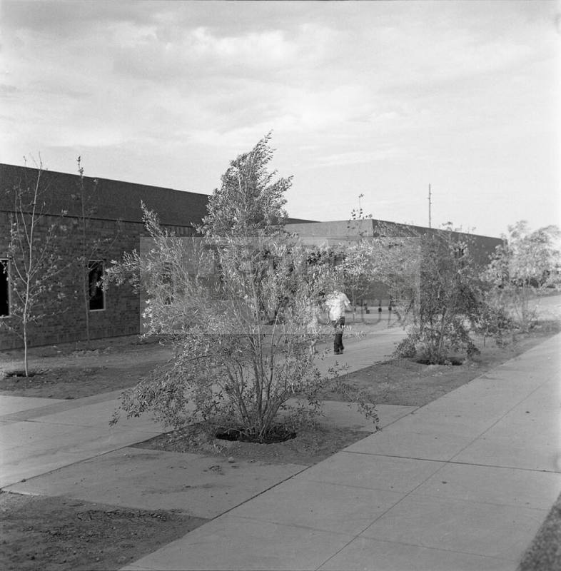 Public  Library