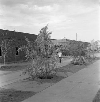 Public  Library