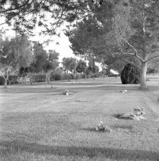 Butte Cemetery