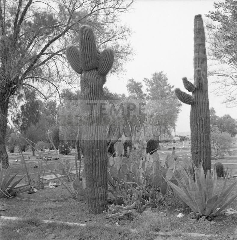 Butte Cemetery