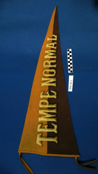 Tempe Normal School Pennant