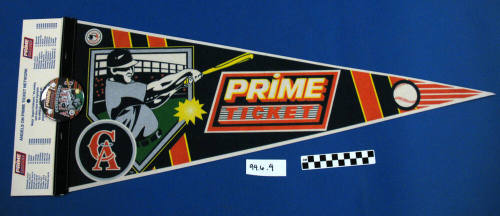 Pennant and Button