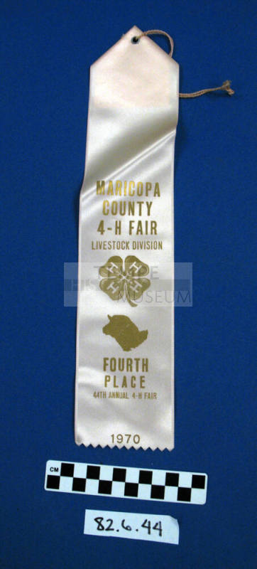 Prize Ribbon
