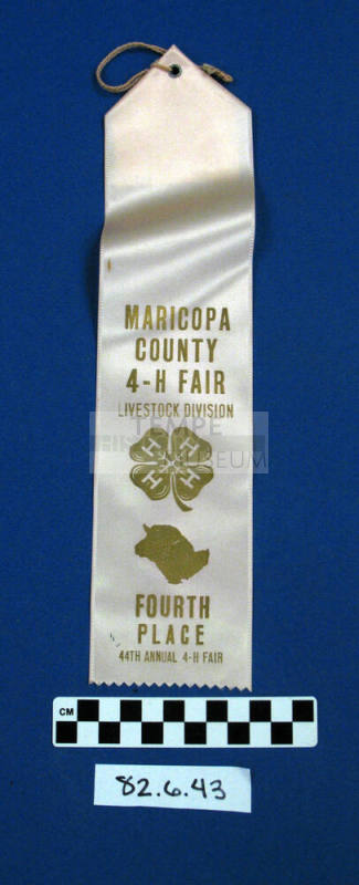Prize Ribbon