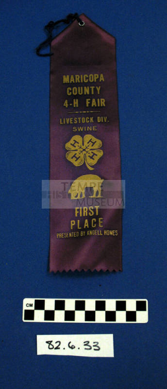 Prize Ribbon