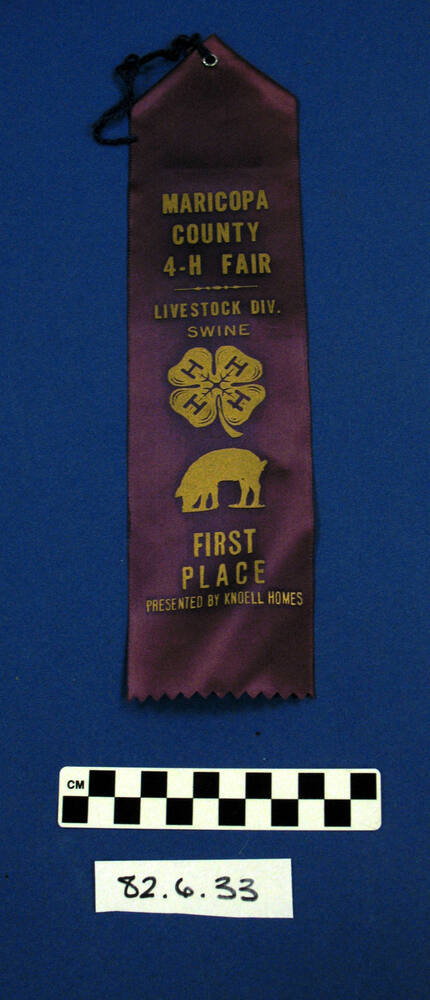 Prize Ribbon