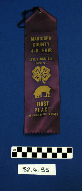Prize Ribbon