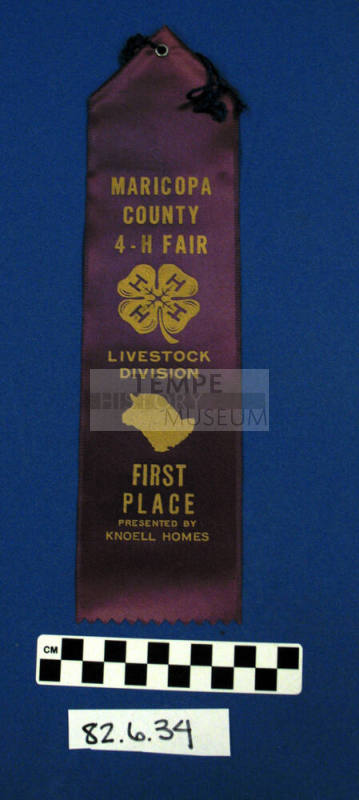 Prize Ribbon
