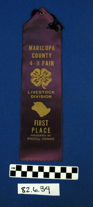 Prize Ribbon