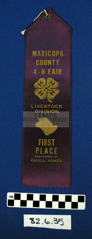 Prize Ribbon