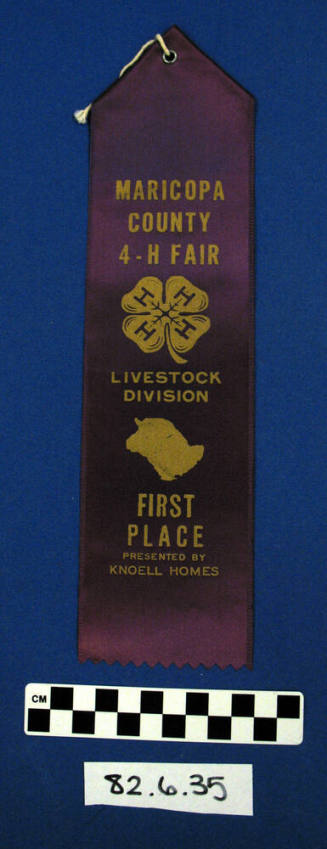 Prize Ribbon