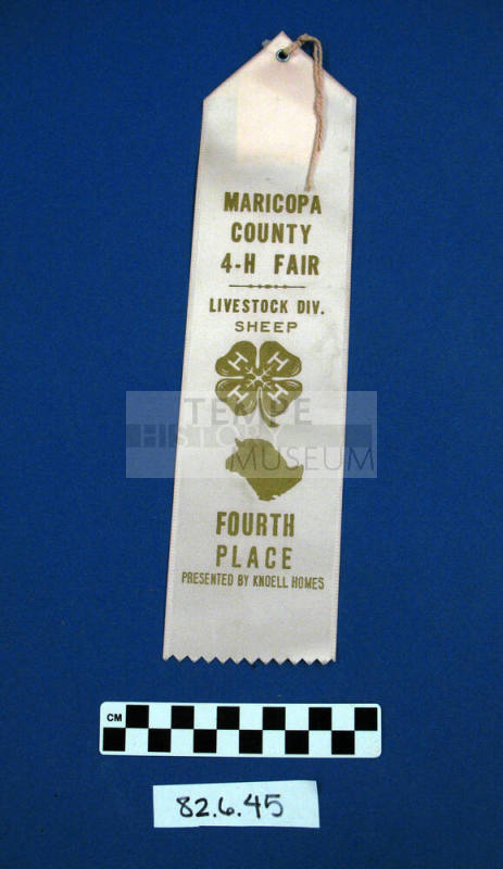 Prize Ribbon