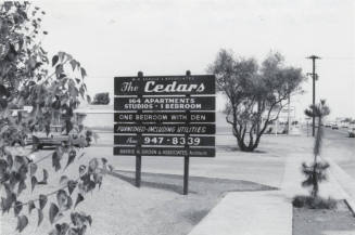The Cedar Apartments - 2100 North Scottsdale Road, Tempe, Arizona