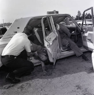 Paramedic Picture Page
