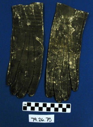 Women's Gloves