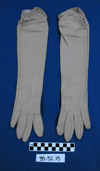 Women's Gloves