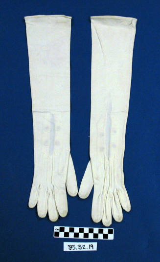 Women's Gloves