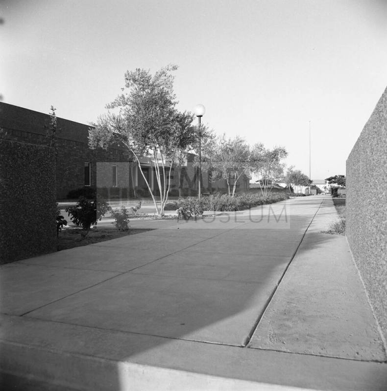 Tempe