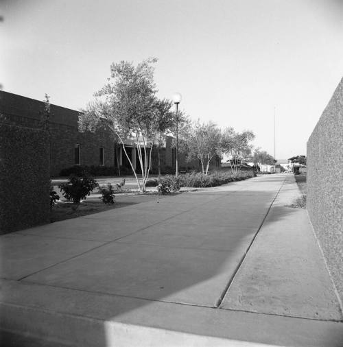 Tempe