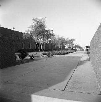 Tempe