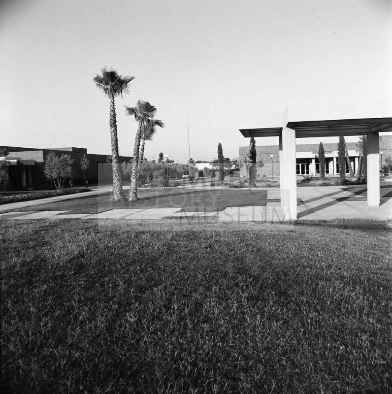 Tempe