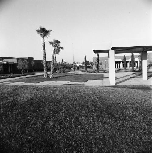 Tempe