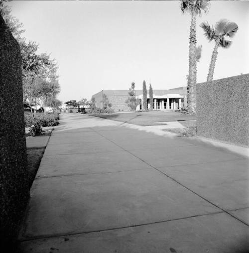 Tempe