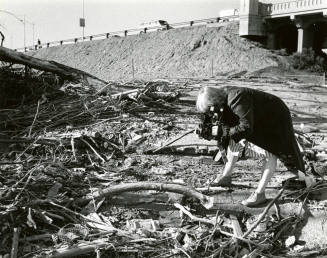 Jan Young photographs nature beside Mill Avenue Bridge, Tempe, Arizona.