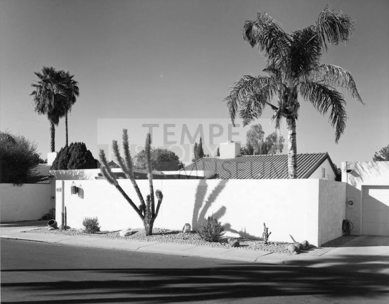 Desert landscape along wall of home near Shalimar Country Club, Tempe, Arizona