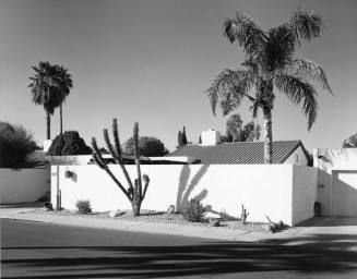 Desert landscape along wall of home near Shalimar Country Club, Tempe, Arizona