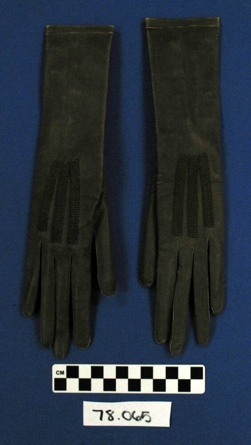 Women's Gloves