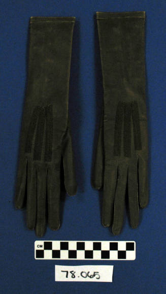 Women's Gloves