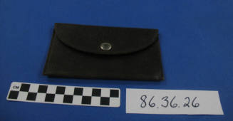 Case