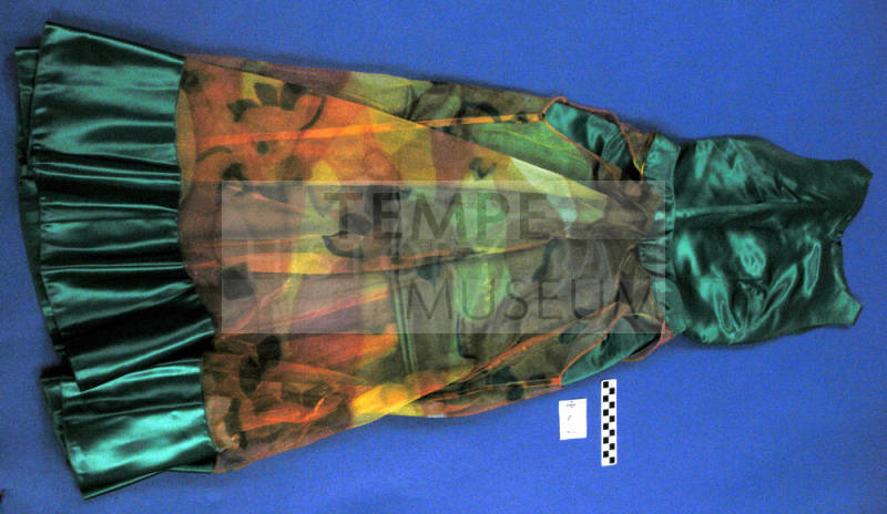 Two Peice Dress