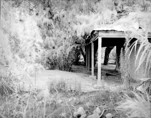 Old House near ditch on Guadalupe Road