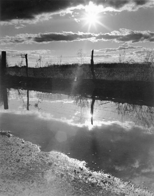 Sunset After a Rain
