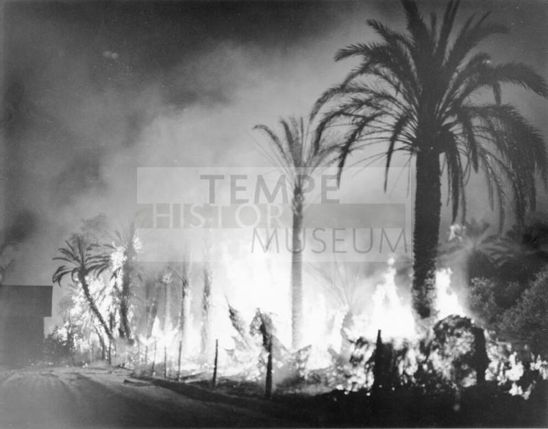 Date Grove Fire