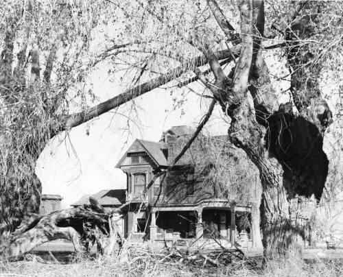 Petersen House
