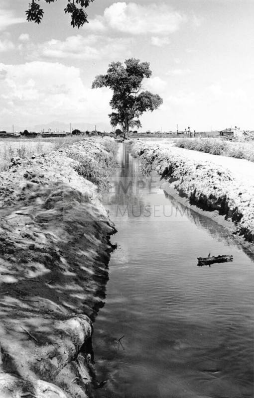 Ditch Near Mesa, Arizona