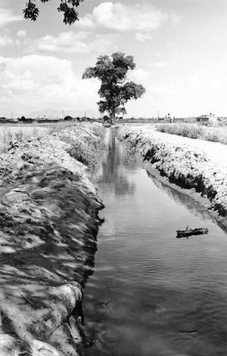 Ditch Near Mesa, Arizona