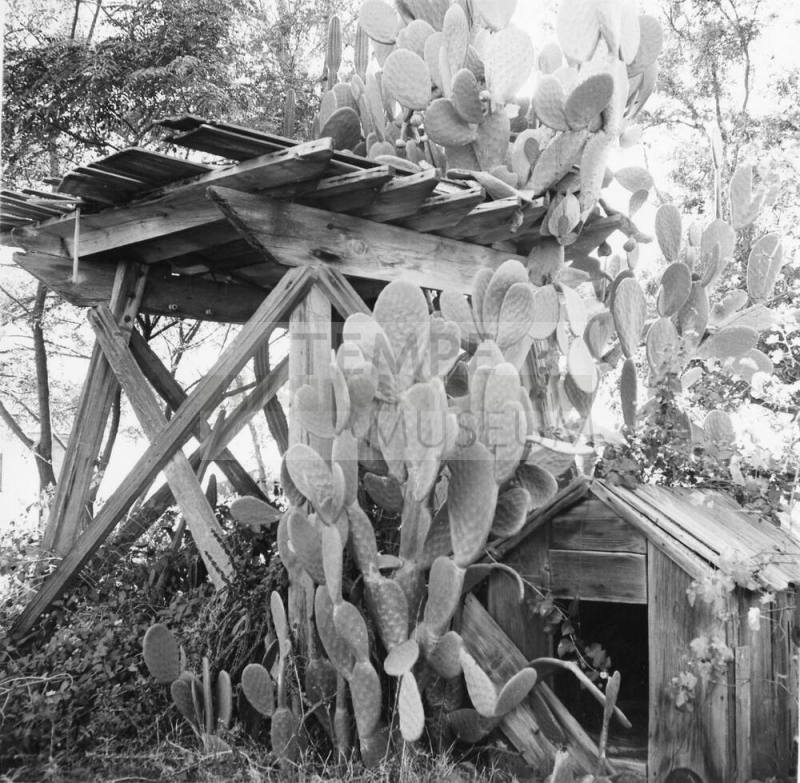 Dog House and base of water tower