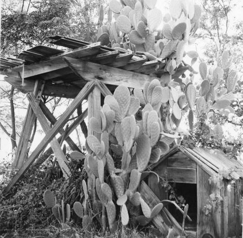Dog House and base of water tower