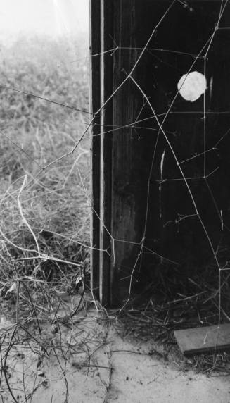 Henness House Milk Shed Doorway